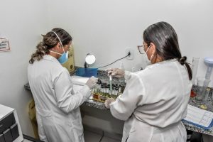 tuberculose 3