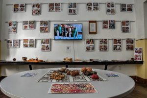 Casa Paulina Porto apresenta exposição As sementes e as suas memórias até 2 de julho (1)