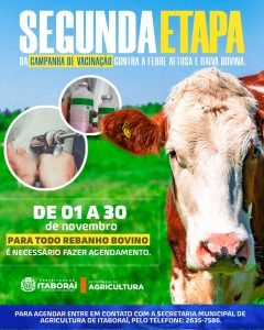 Segunda fase da vacinação contra Febre Aftosa e Raiva para bovinos começa em novembro