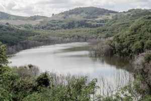 parque paleontológico