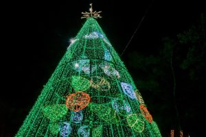 Foto 5 (Itambi) -Magia do Natal Luz encanta famílias com programação recheada em Itaboraí (1)