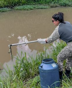 Filhote de jacaré, cachorro-do-mato e coruja são resgatados no município (1)