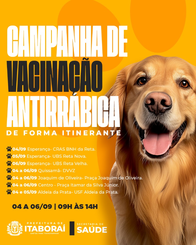 Cachorros - Itaboraí e região, Rio de Janeiro